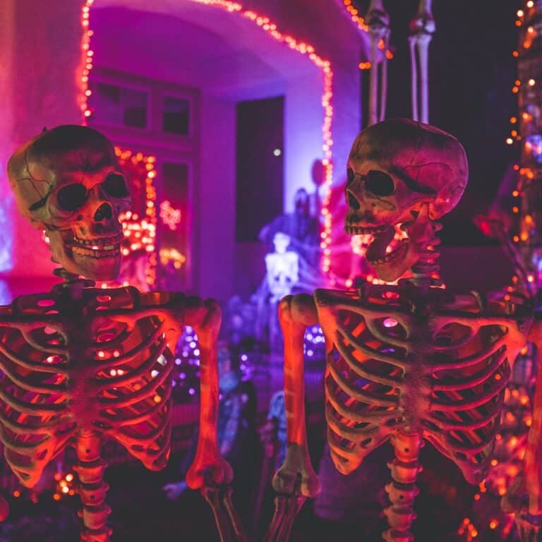Time to Get Spooky! Simple Halloween Decorations to Transform Your House